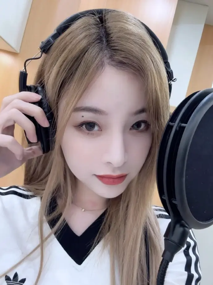 数据流动示意图